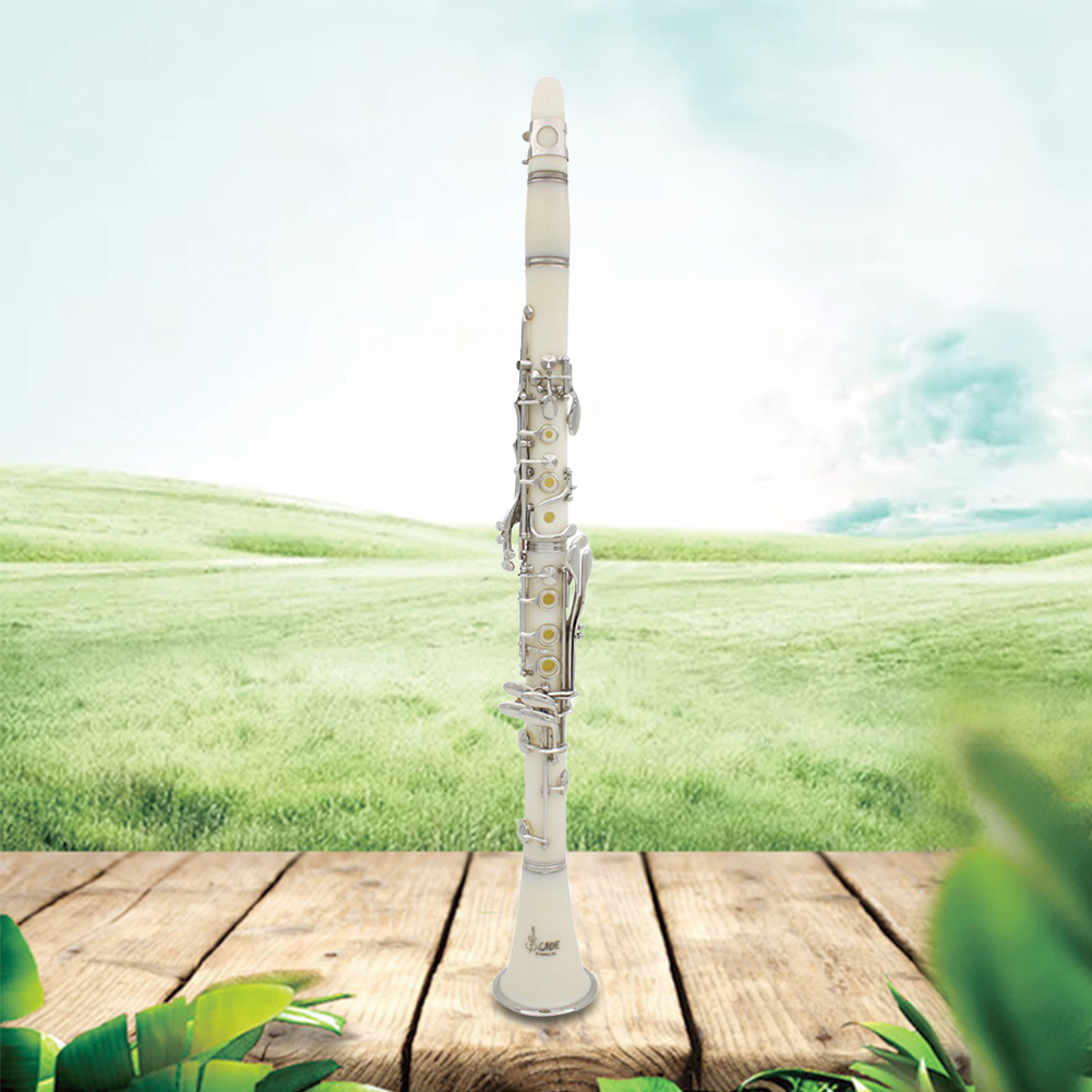Musical Instrument Reed - Clarinete Bb de 17 Llaves con