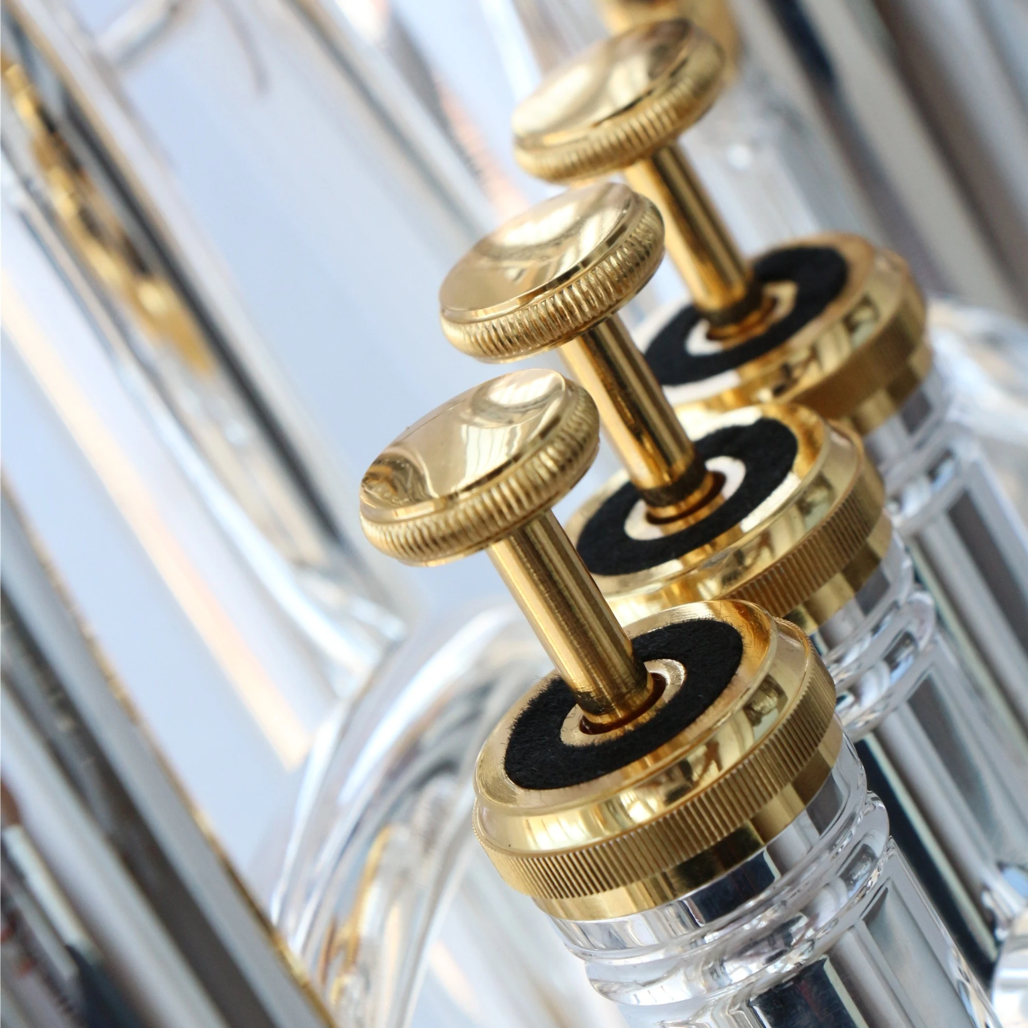 Instrumentos Musicales, Euphon - Musical Instrument Euphonium reseña y precio