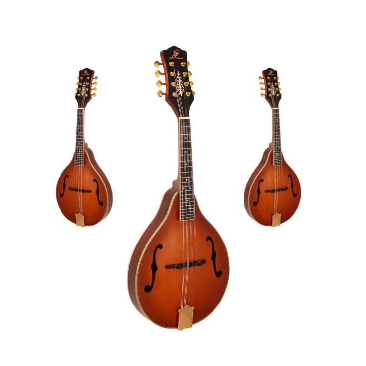 Gran oferta, instrumento Music - Musical Instrument Mandolin reseña y precio