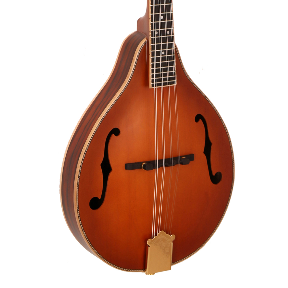 Gran oferta, instrumento Music - Musical Instrument Mandolin reseña y precio