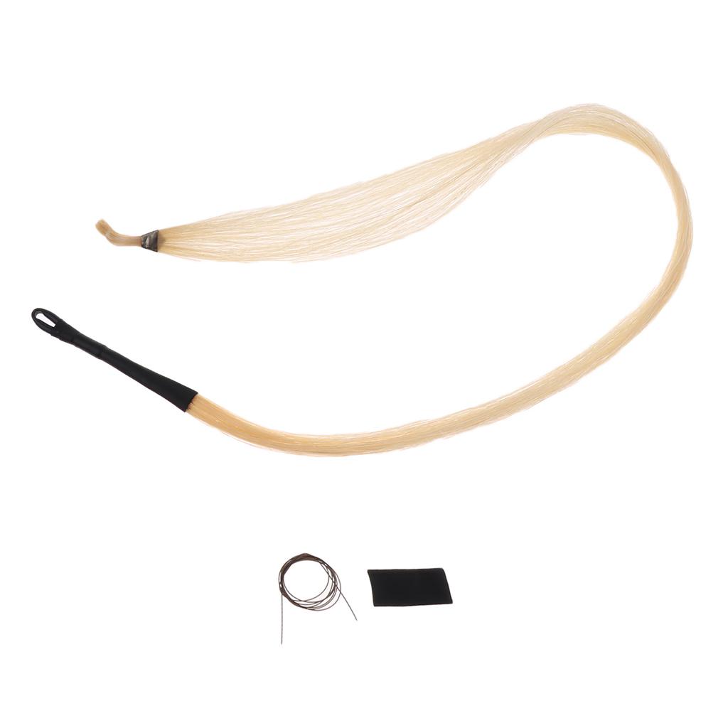 Instrumento Musical de pelo de - Musical Instrument Cello reseña y precio
