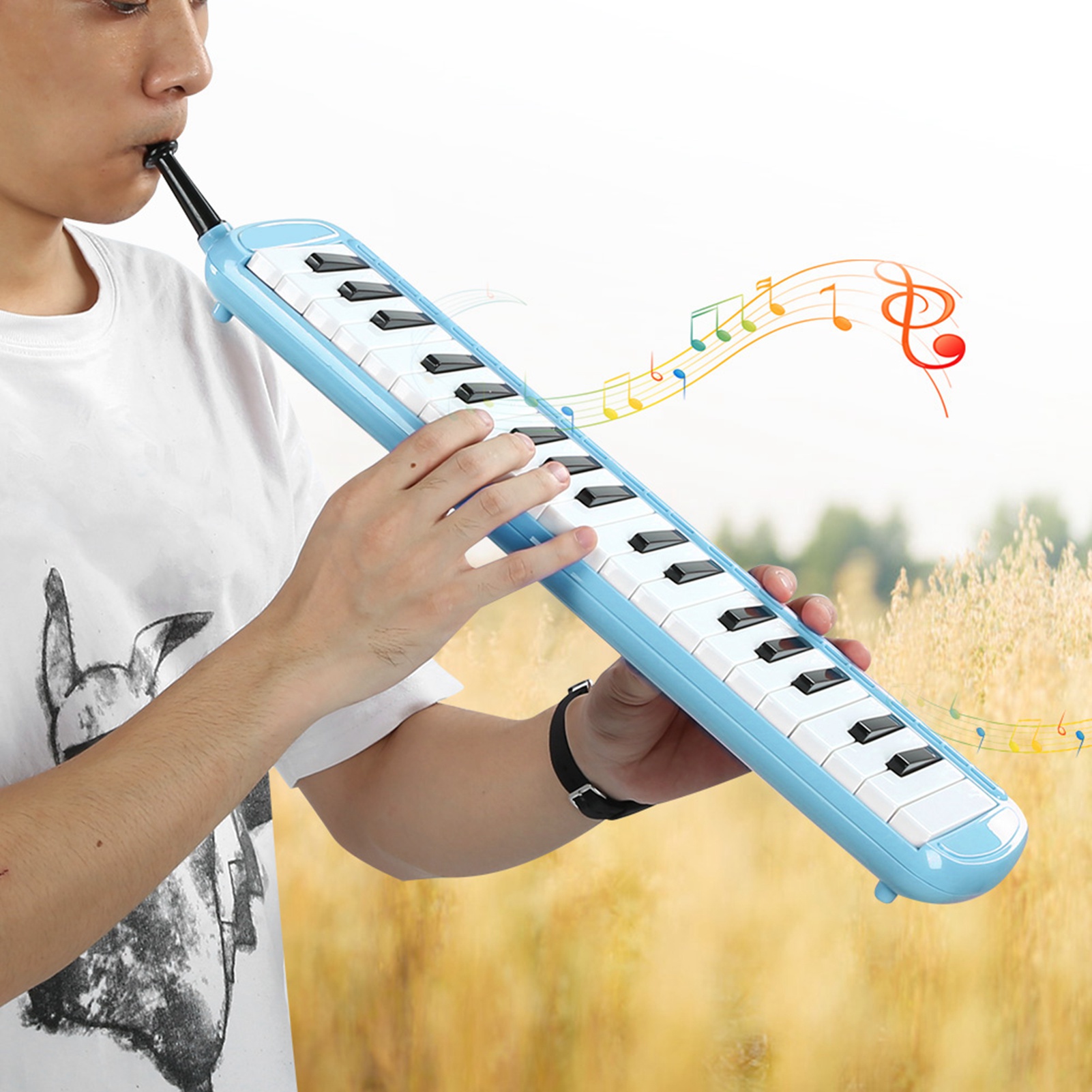 Melodica Instrumento musical d - Musical Instrument Reed reseña y precio