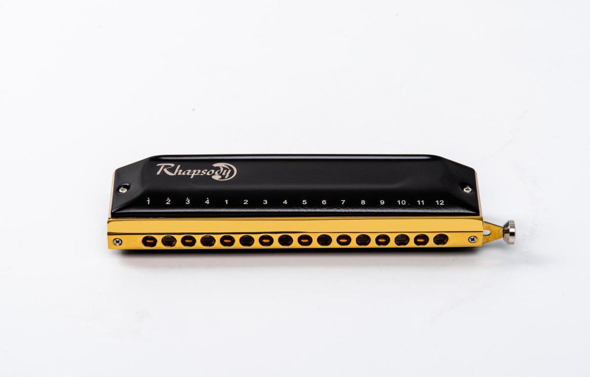 East top-armónica de Peine ABS - Musical Instrument Reed reseña y precio