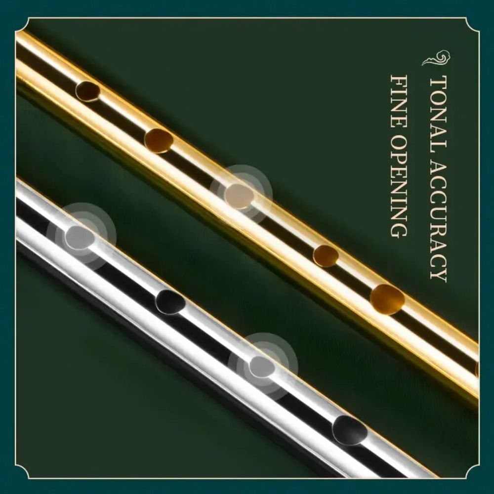 Flauta Irlandesa de 6 Orificio - Tin Whistle Flute reseña y precio