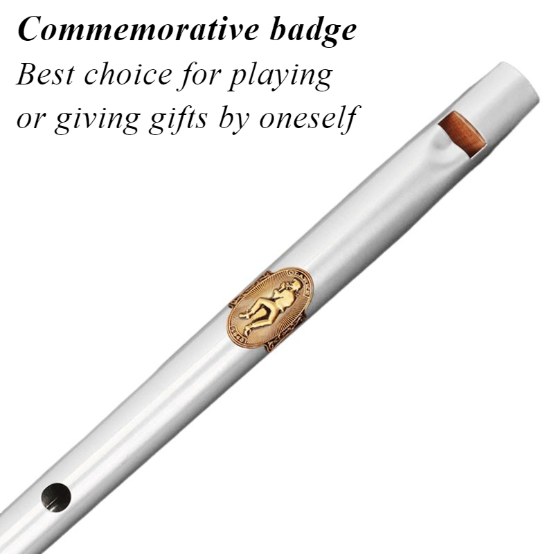 Silbato de estaño con llave D/ - Tin Whistle Flute reseña y precio