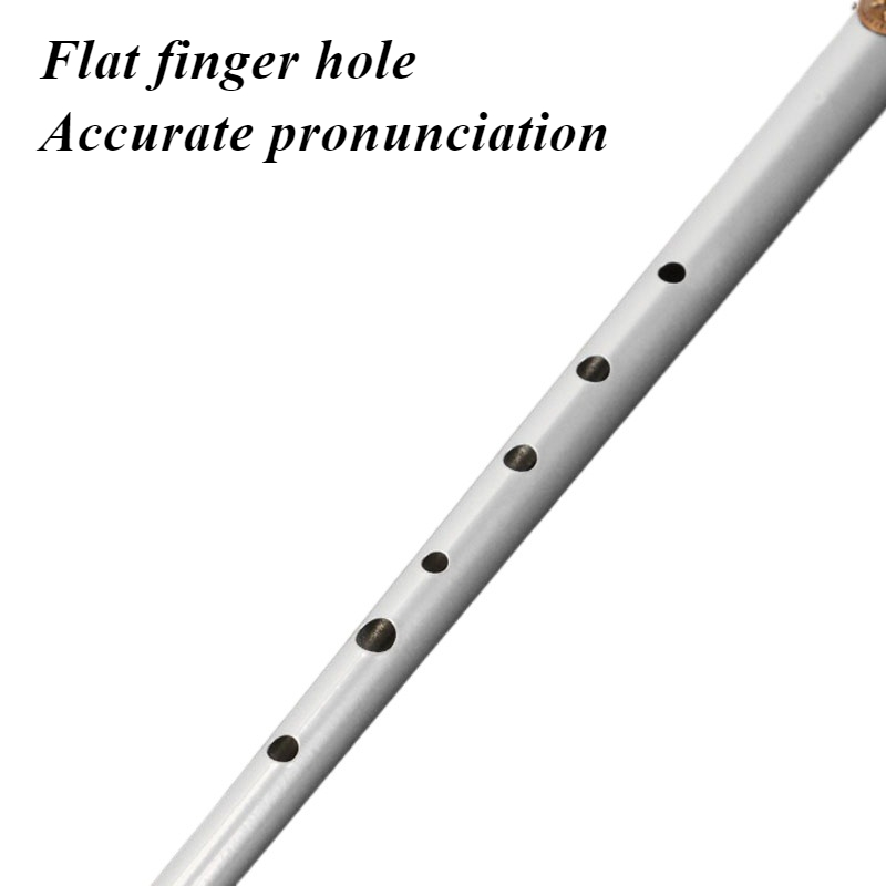 Silbato de estaño con llave D/ - Tin Whistle Flute reseña y precio